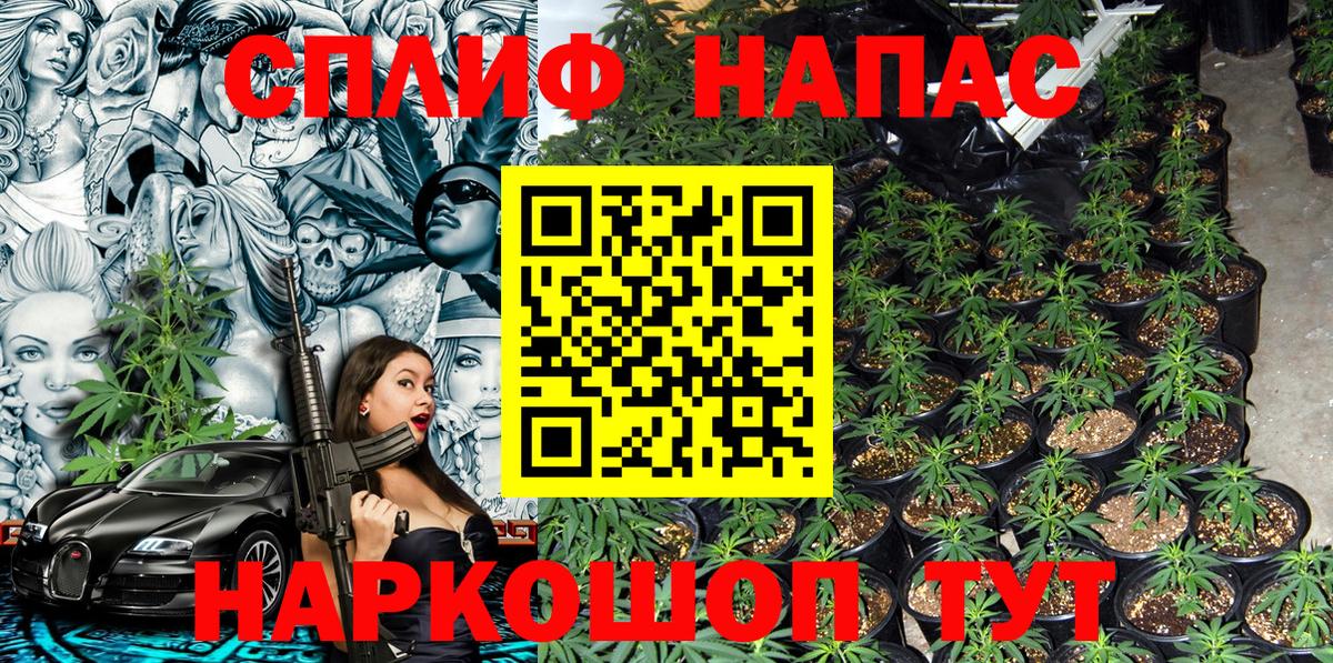 Канабис гибрид Каменск-Уральский